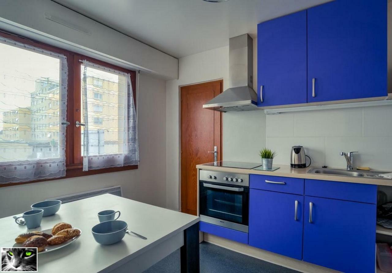 Appartement Spacieux Schiltigheim Exterior foto