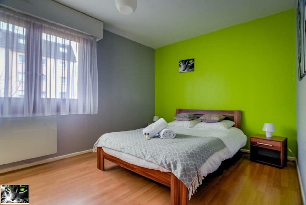 Appartement Spacieux Schiltigheim Exterior foto